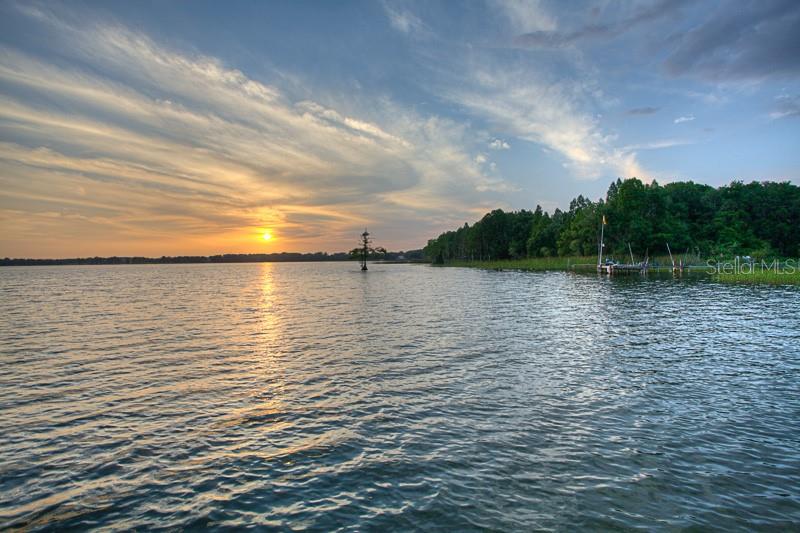 Image 92 of 100 For 12230 Stonelake Ranch Boulevard