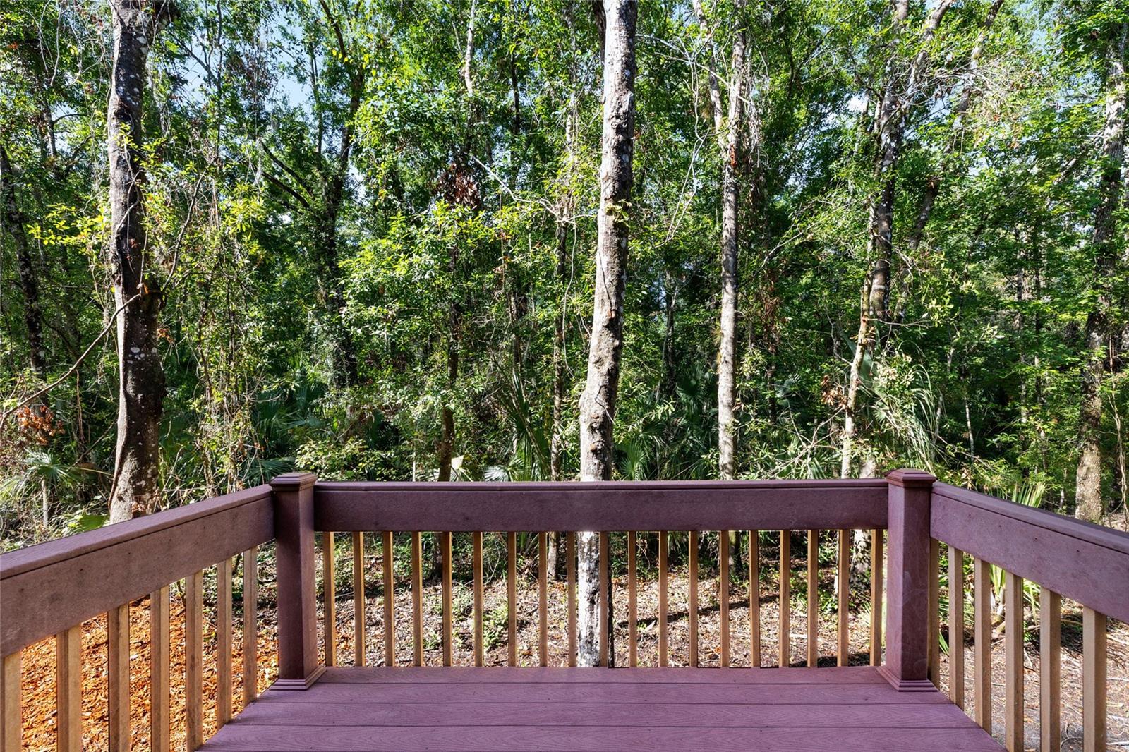 Listing photo id 33 for 4920 Anniston Circle