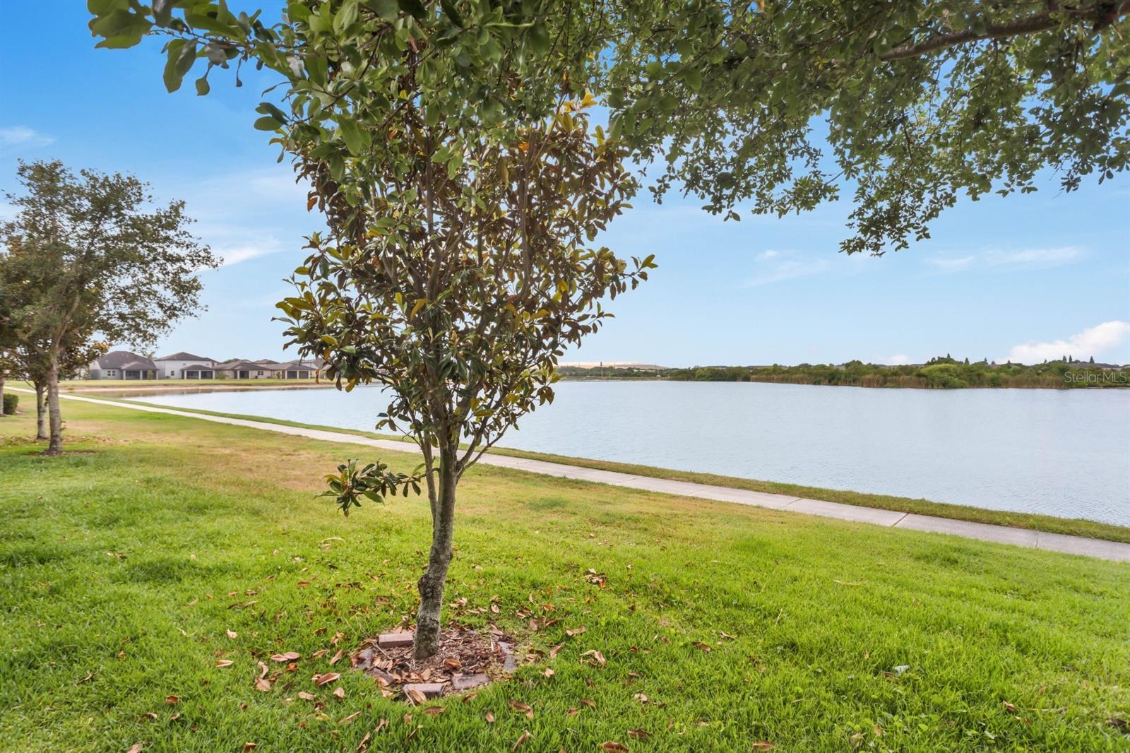 Listing photo id 8 for 4743 Somerset Hill Lane