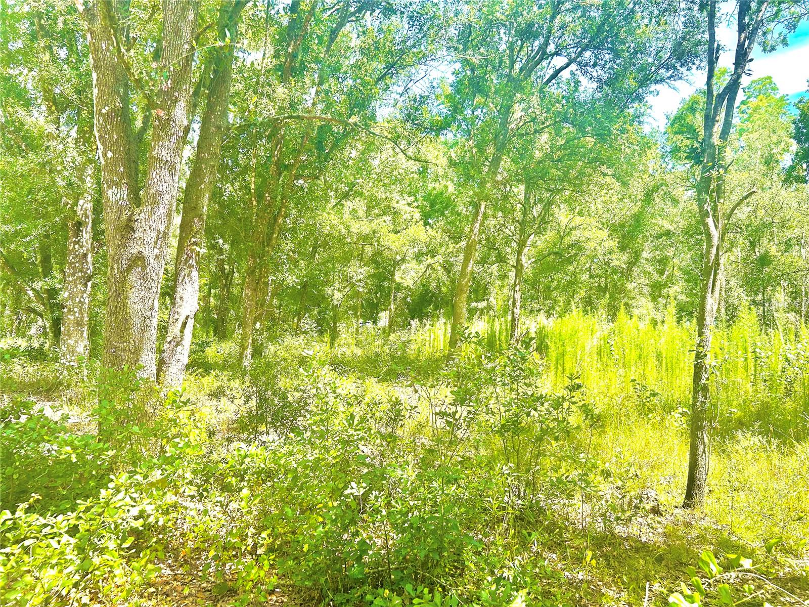 Image 15 of 29 For Broken Arrow Drive