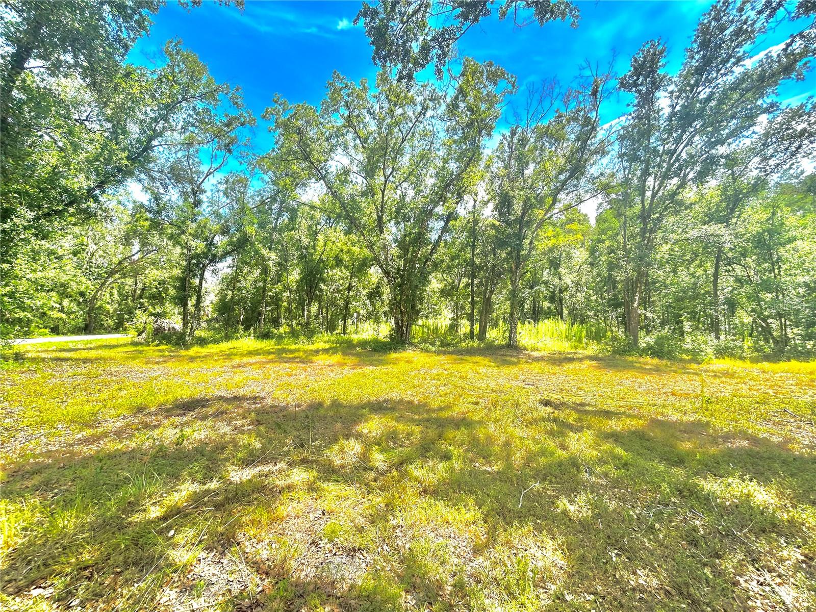 Image 19 of 29 For Broken Arrow Drive