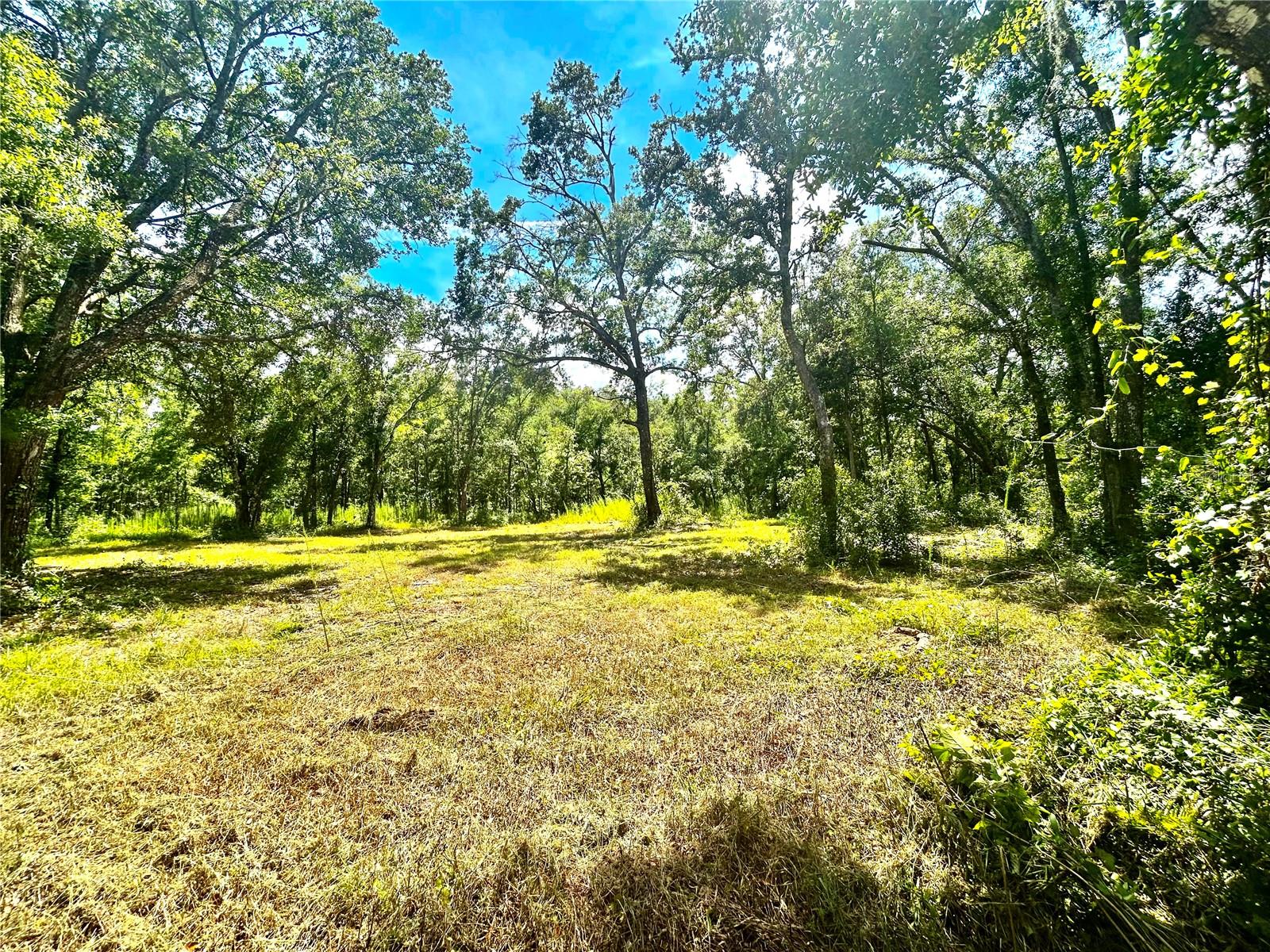 Image 22 of 29 For Broken Arrow Drive