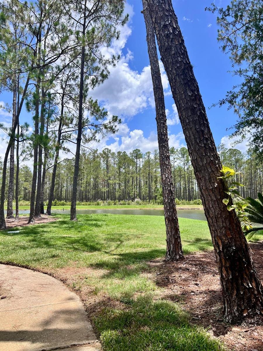 Listing photo id 18 for 9481 Highland Oak Drive 1101