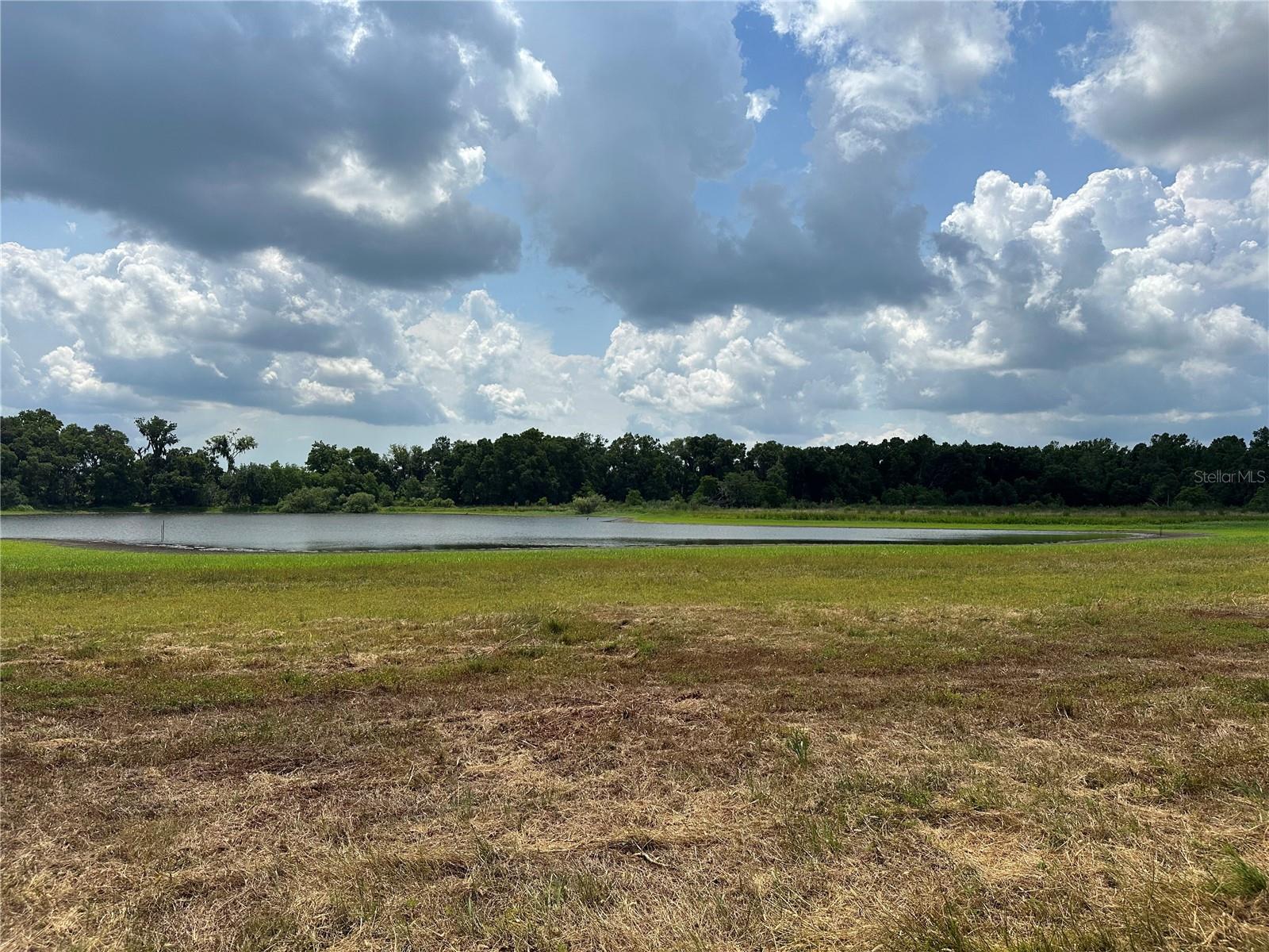 Details for Palomino Lakes Dr, DADE CITY, FL 33523