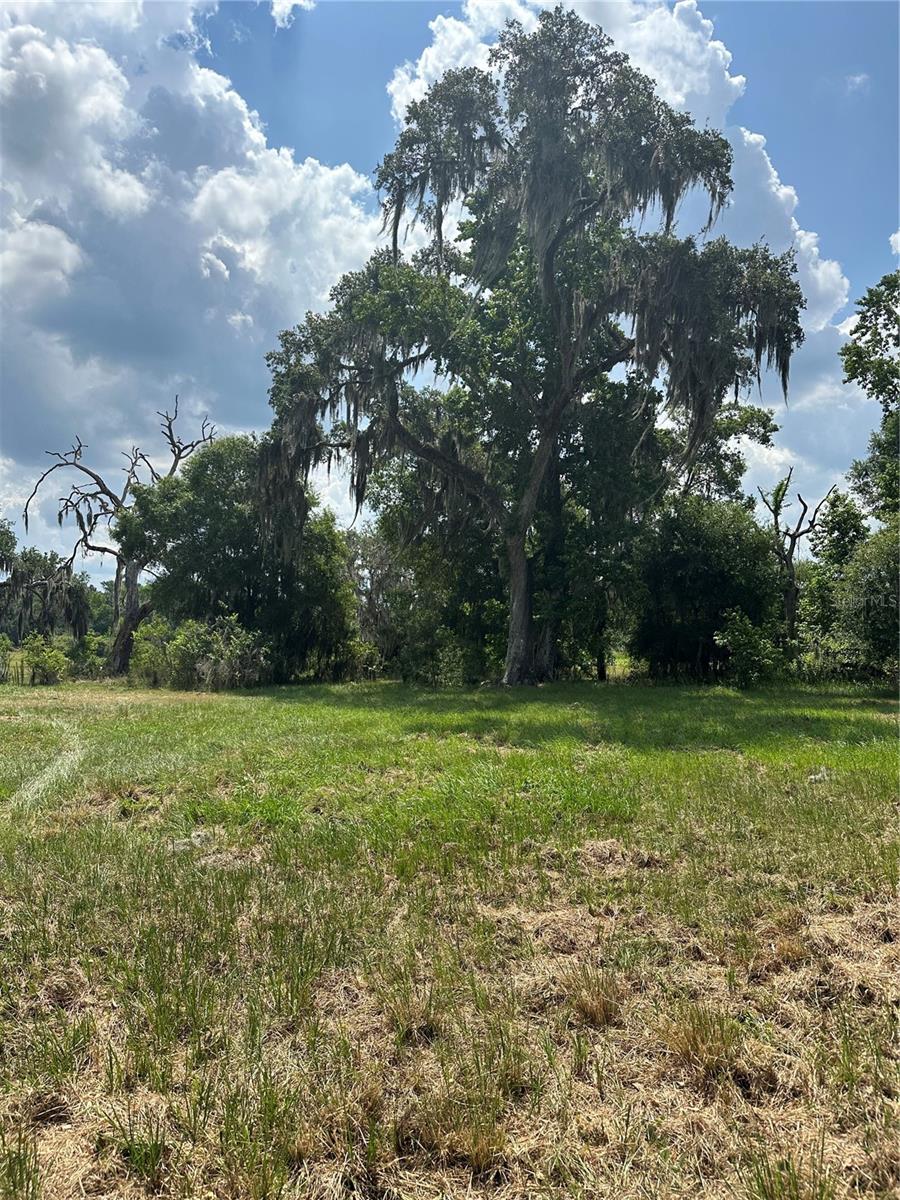 Image 4 of 5 For Palomino Lakes Dr