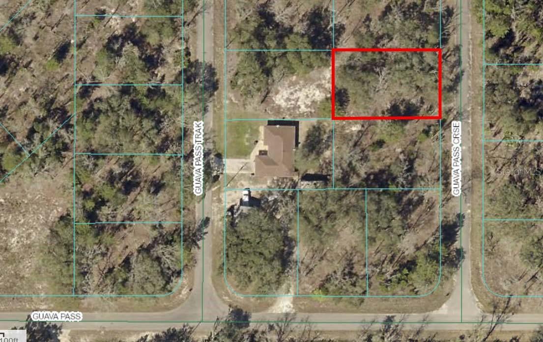 Listing Details for Tbd Guava Pass Crossing Crossing 5, OCKLAWAHA, FL 32179