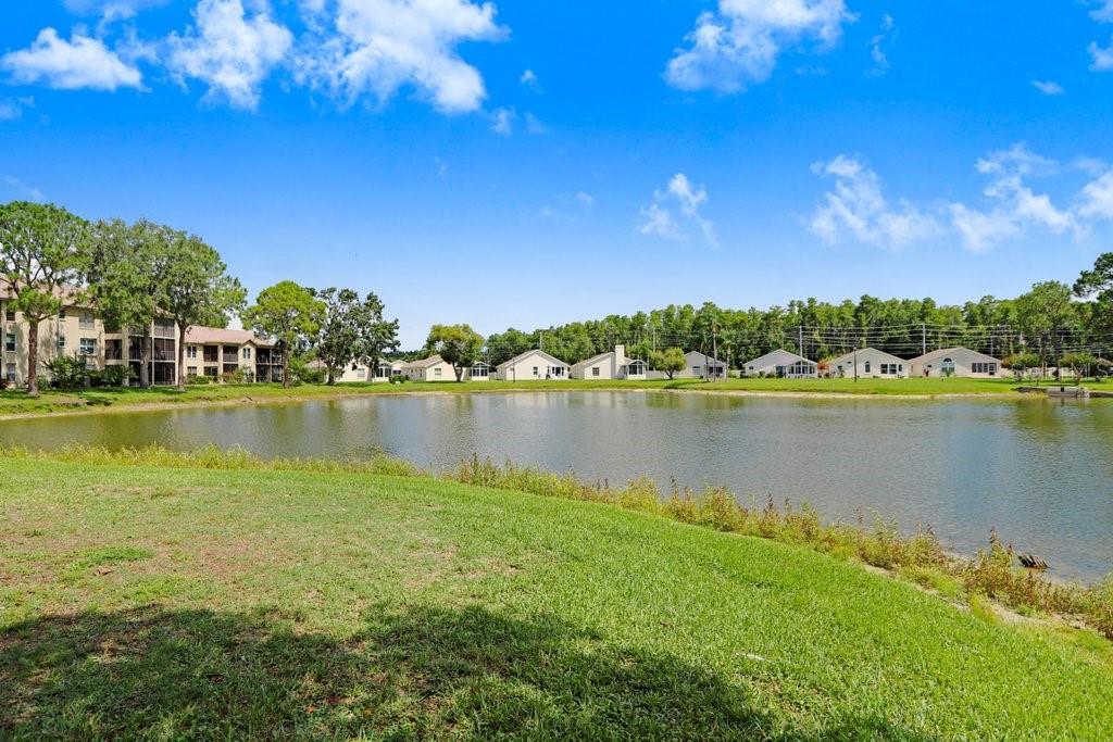 Image 42 of 49 For 4407 Whitton Way