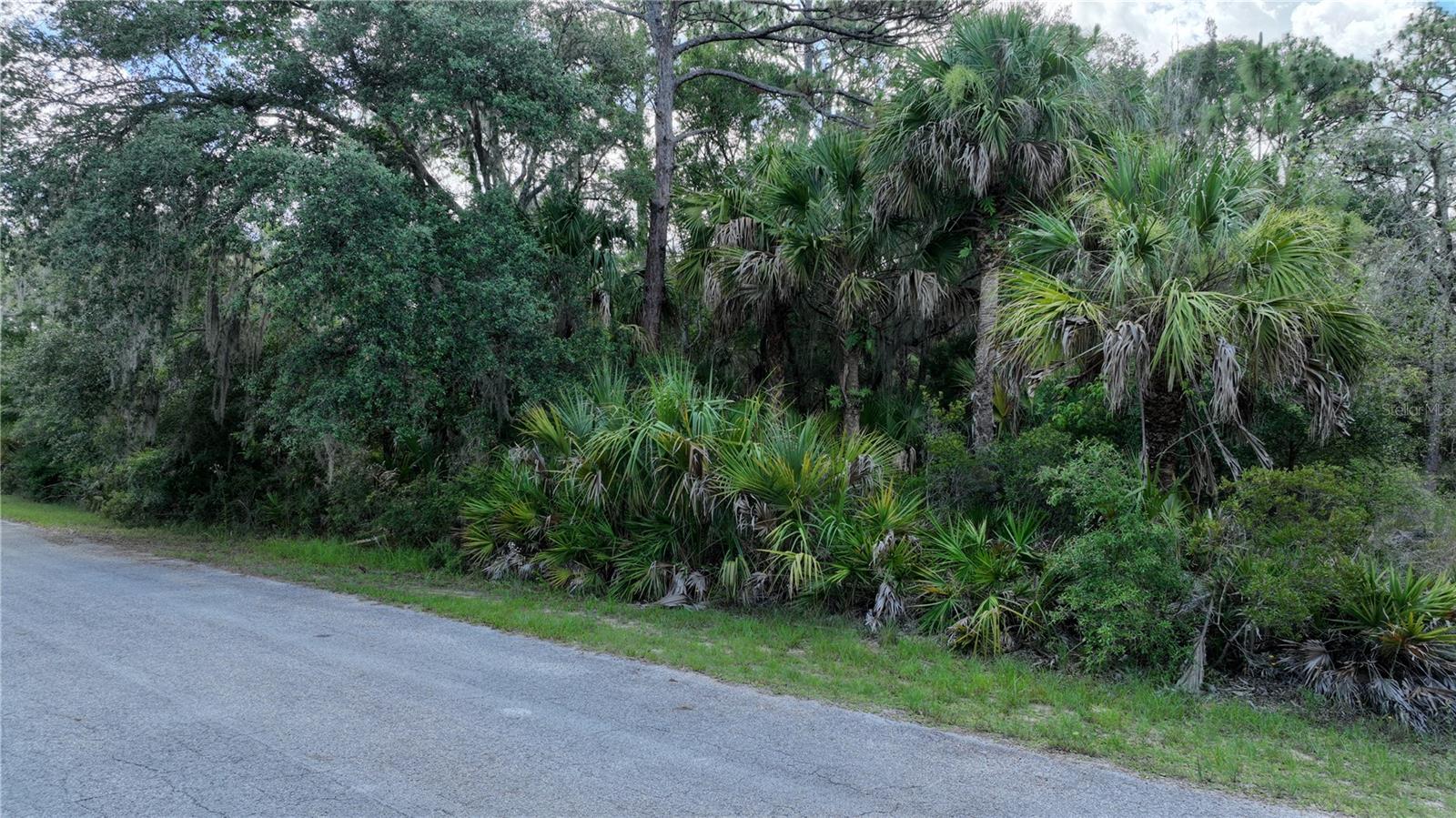 Listing photo id 3 for 12196 Bluebell Drive
