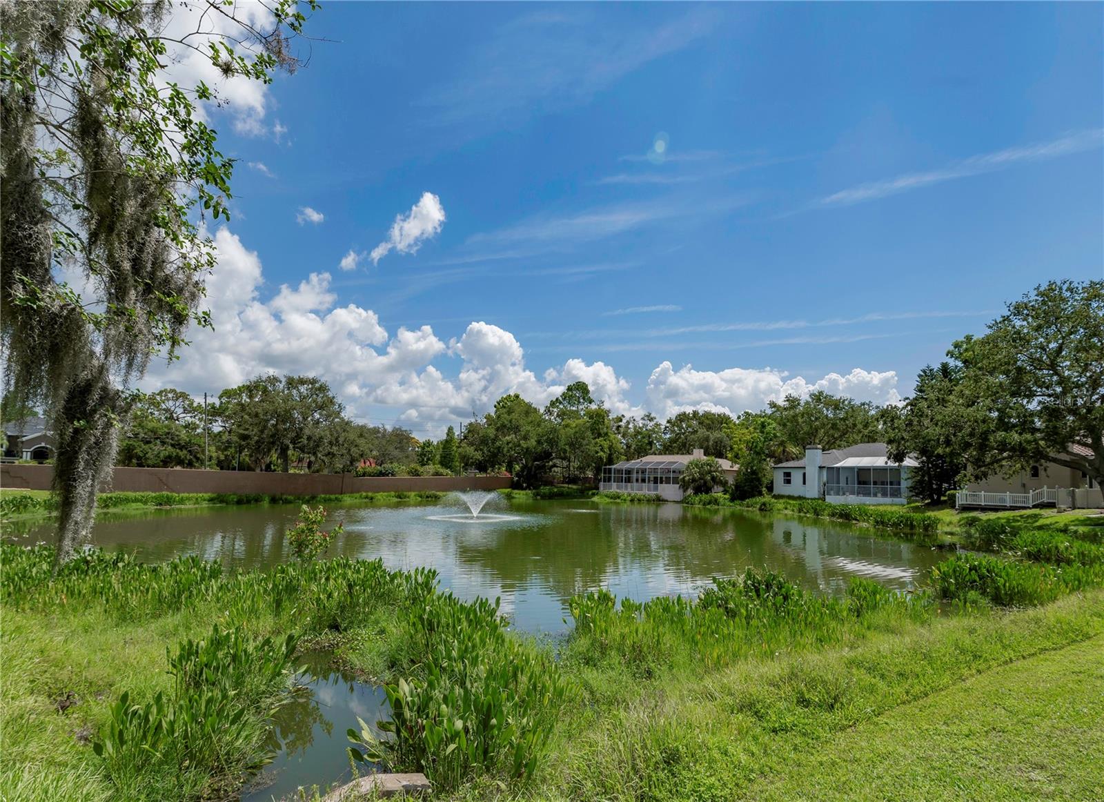 Listing photo id 52 for 2406 Dana Drive