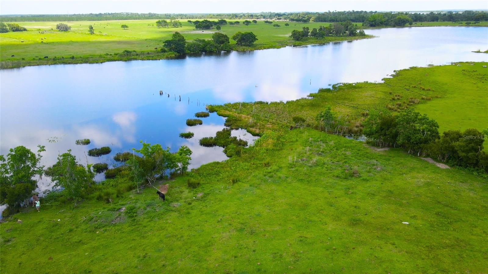Image 6 of 9 For Alturas Babson Park Cutoff