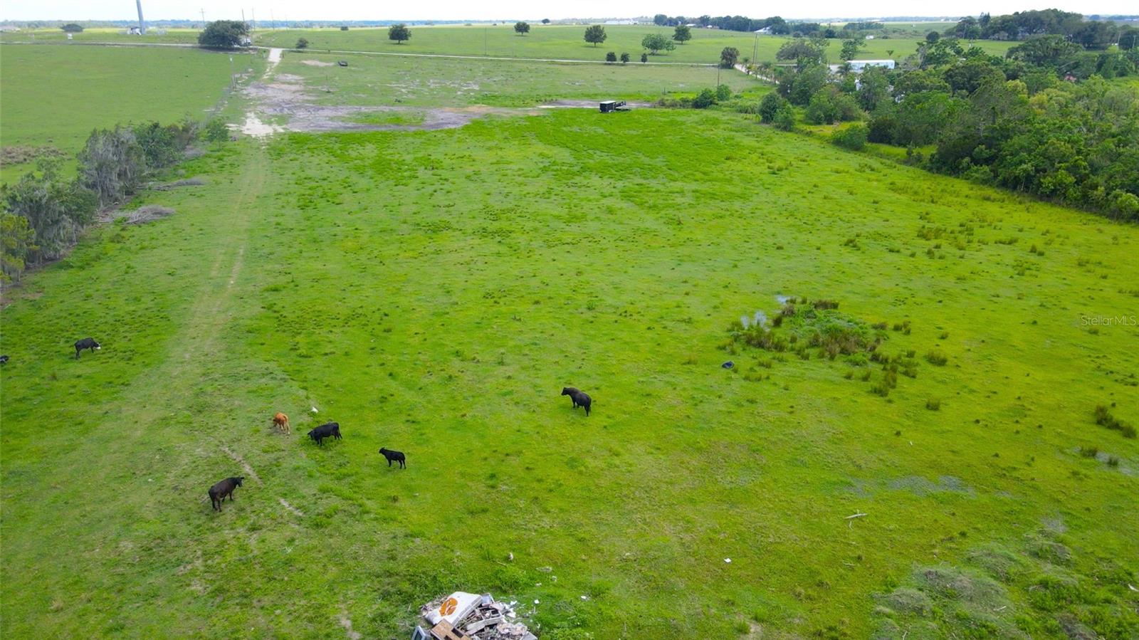 Image 8 of 9 For Alturas Babson Park Cutoff