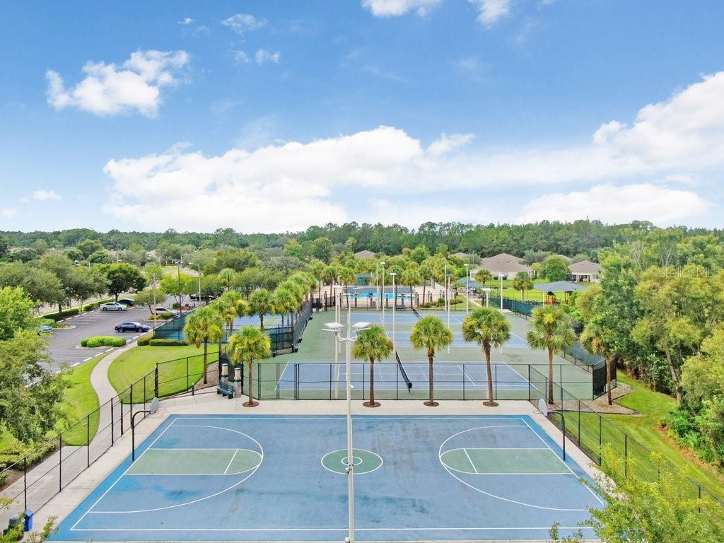 Listing photo id 20 for 30247 Emmetts Court