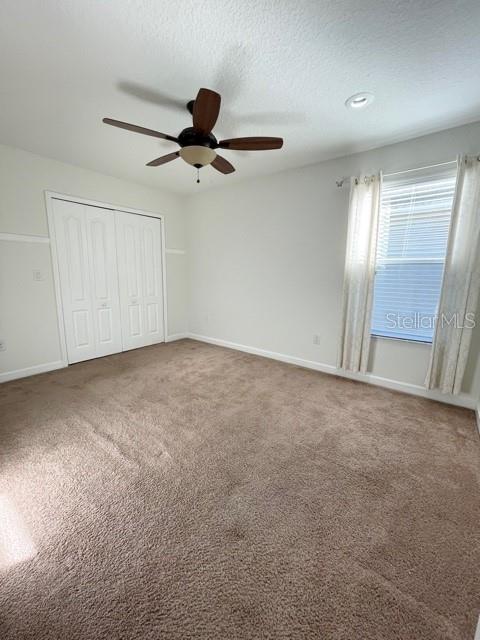 Image 41 of 66 For 20418 Carolina Cherry Court