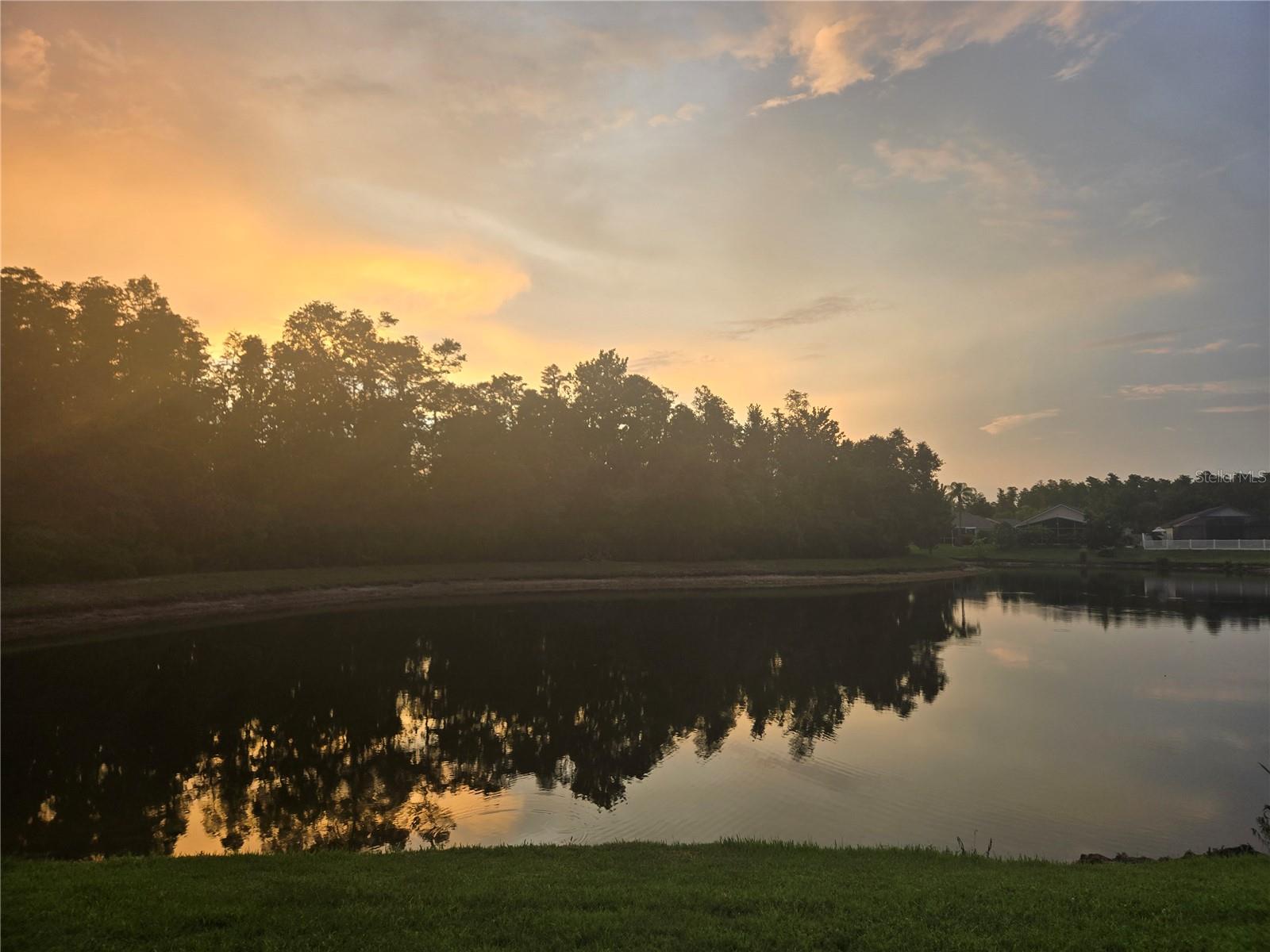 Listing photo id 14 for 31141 Harthorn Court