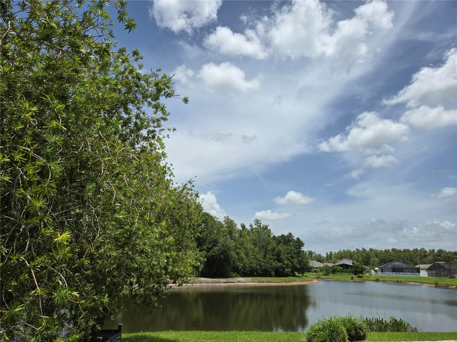 Listing photo id 16 for 31141 Harthorn Court