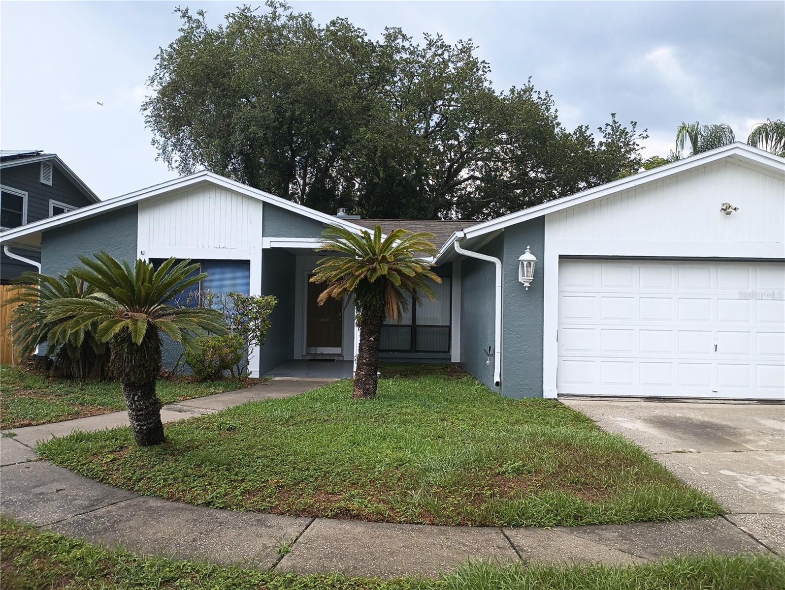Details for 4701 Country Hills Drive, TAMPA, FL 33624