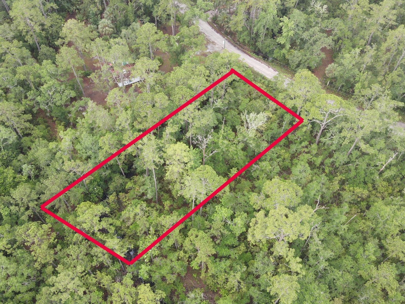 Details for Stuart Cove Road, CRAWFORDVILLE, FL 32327
