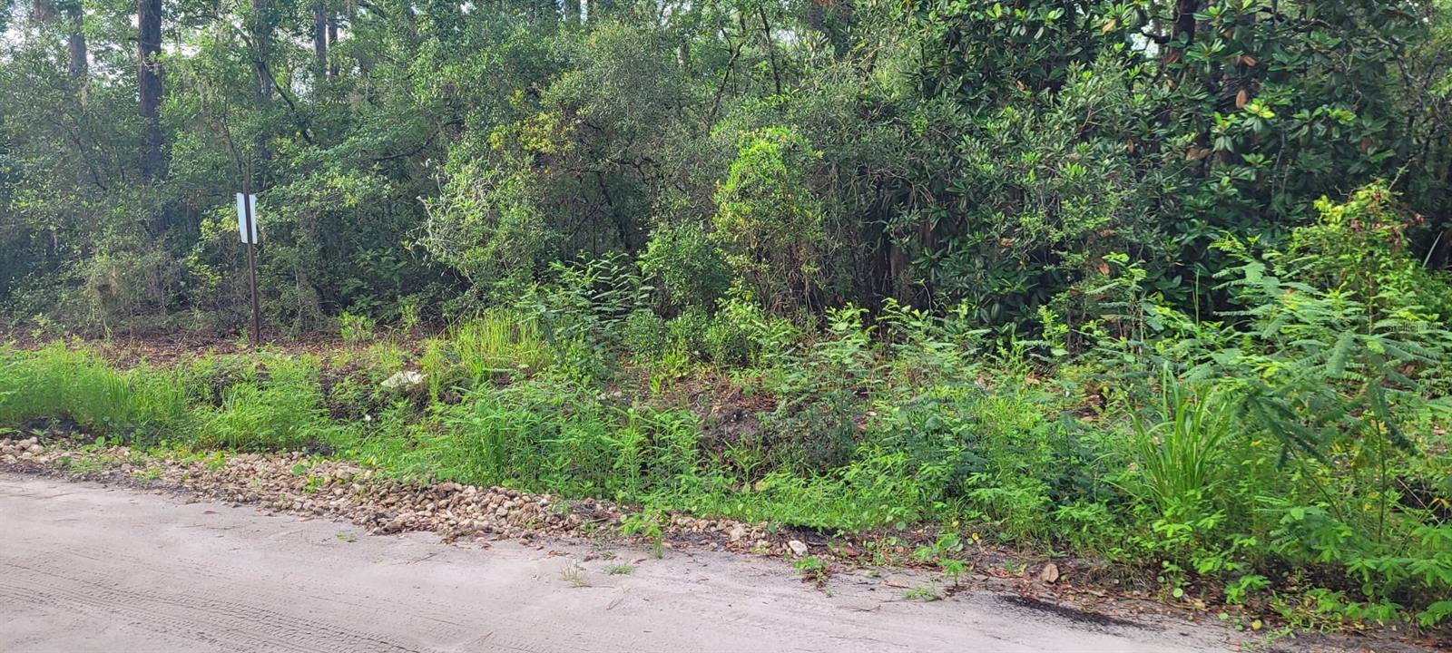 Image 11 of 11 For Stuart Cove Road
