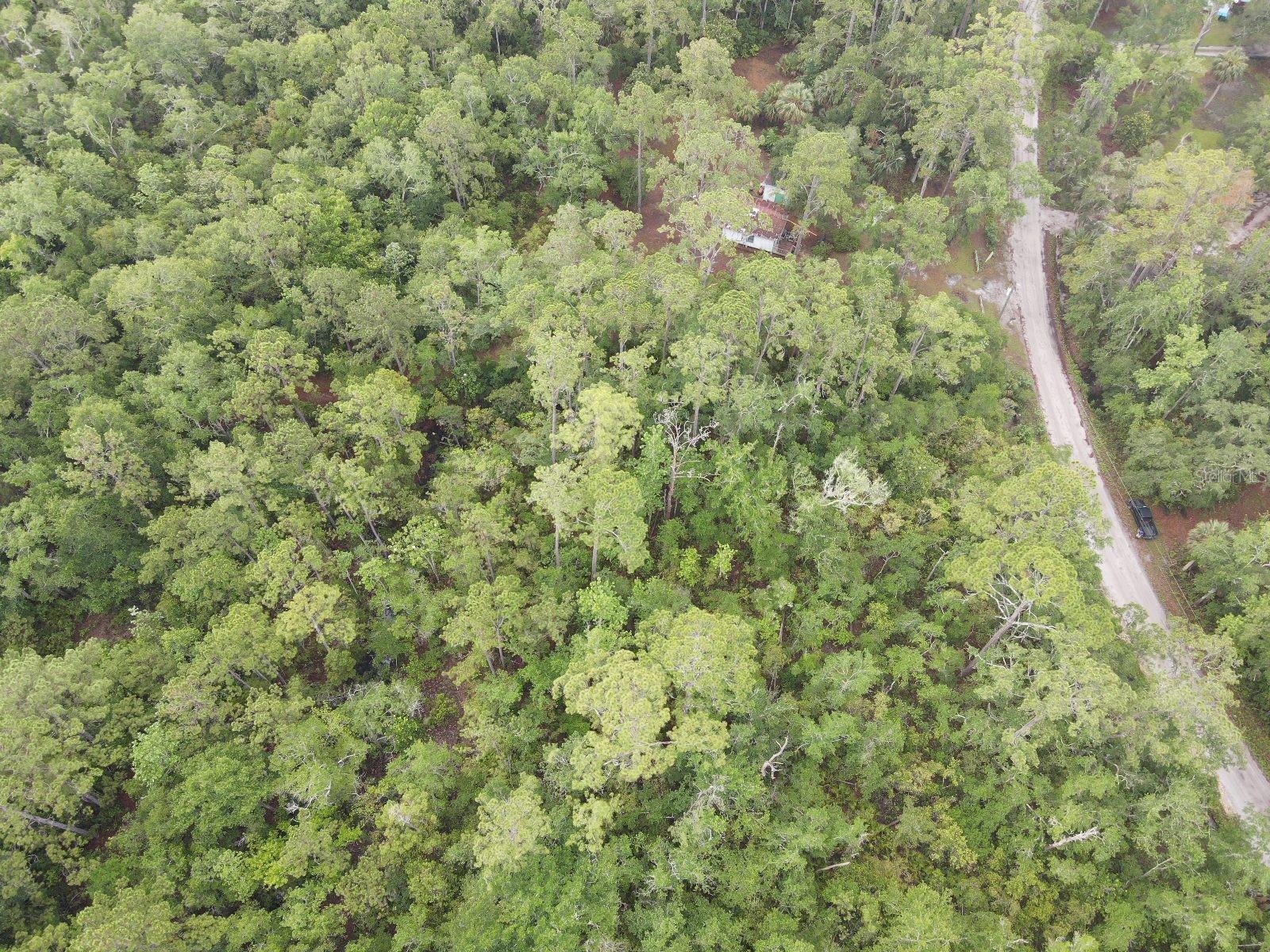 Image 2 of 11 For Stuart Cove Road