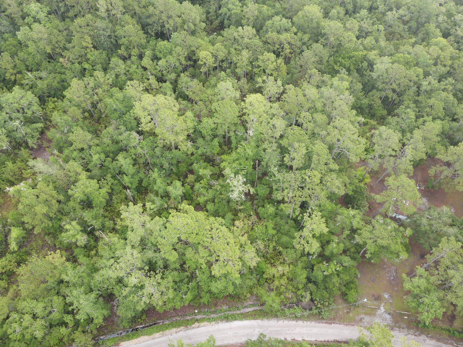 Image 4 of 11 For Stuart Cove Road