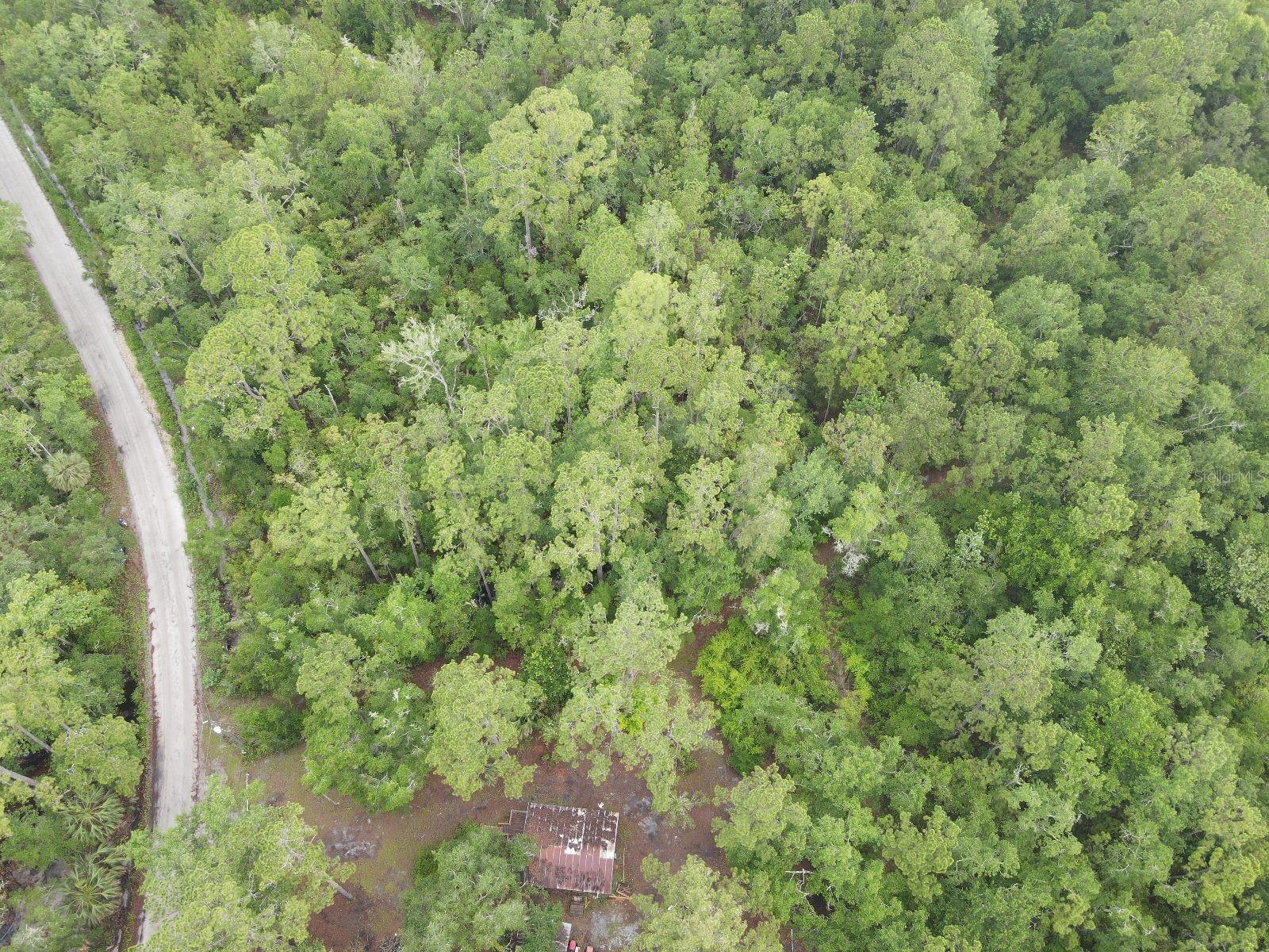 Image 5 of 11 For Stuart Cove Road
