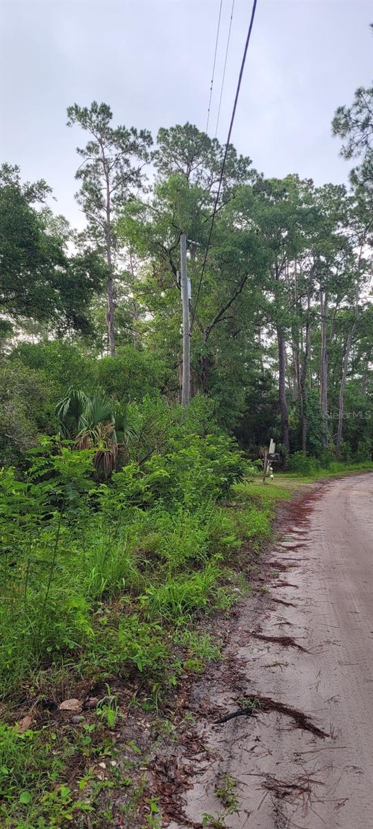 Image 7 of 11 For Stuart Cove Road