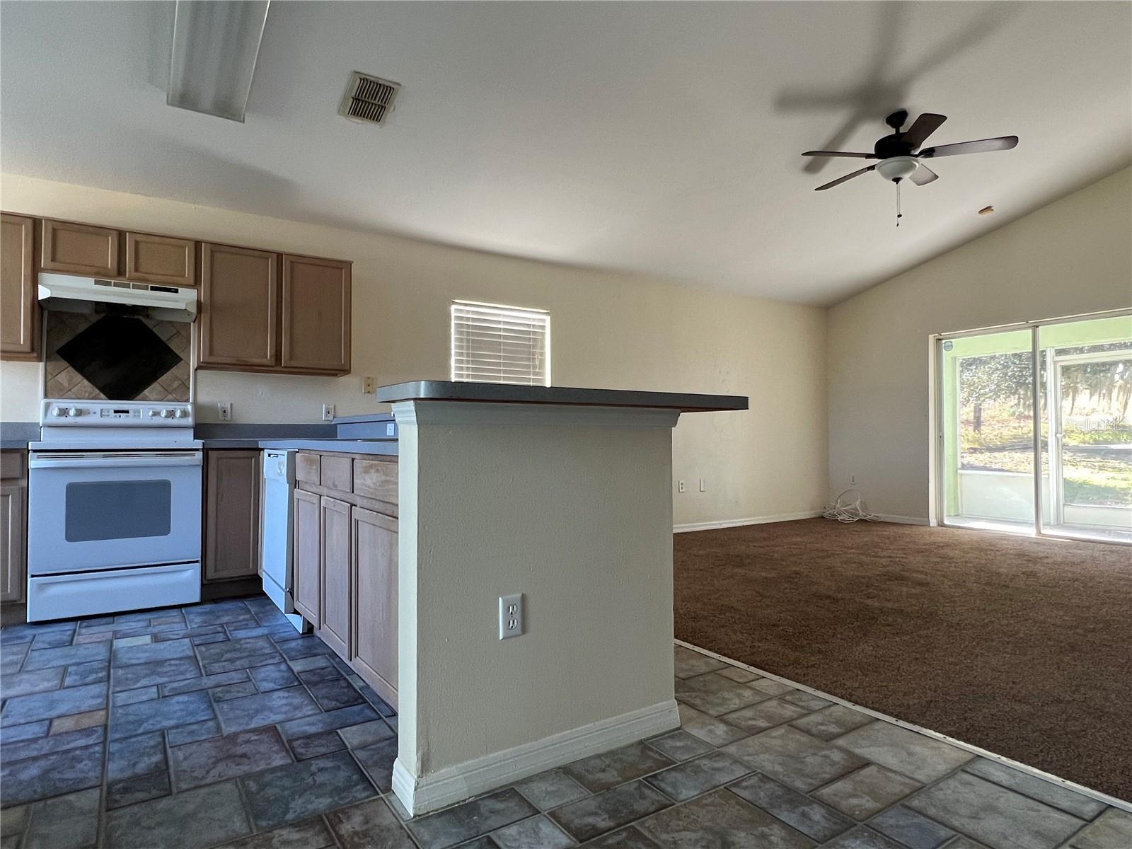 Image 8 of 19 For 103 Thornbush Parkway