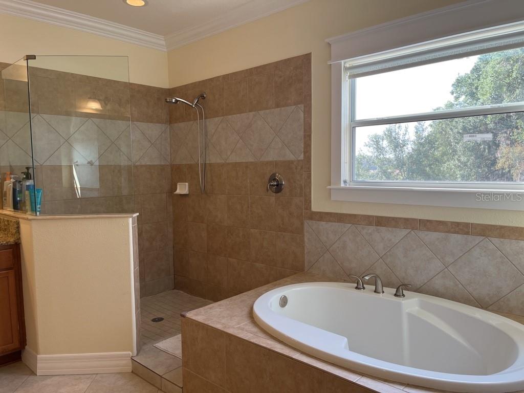 Image 11 of 34 For 10531 Mistflower Lane