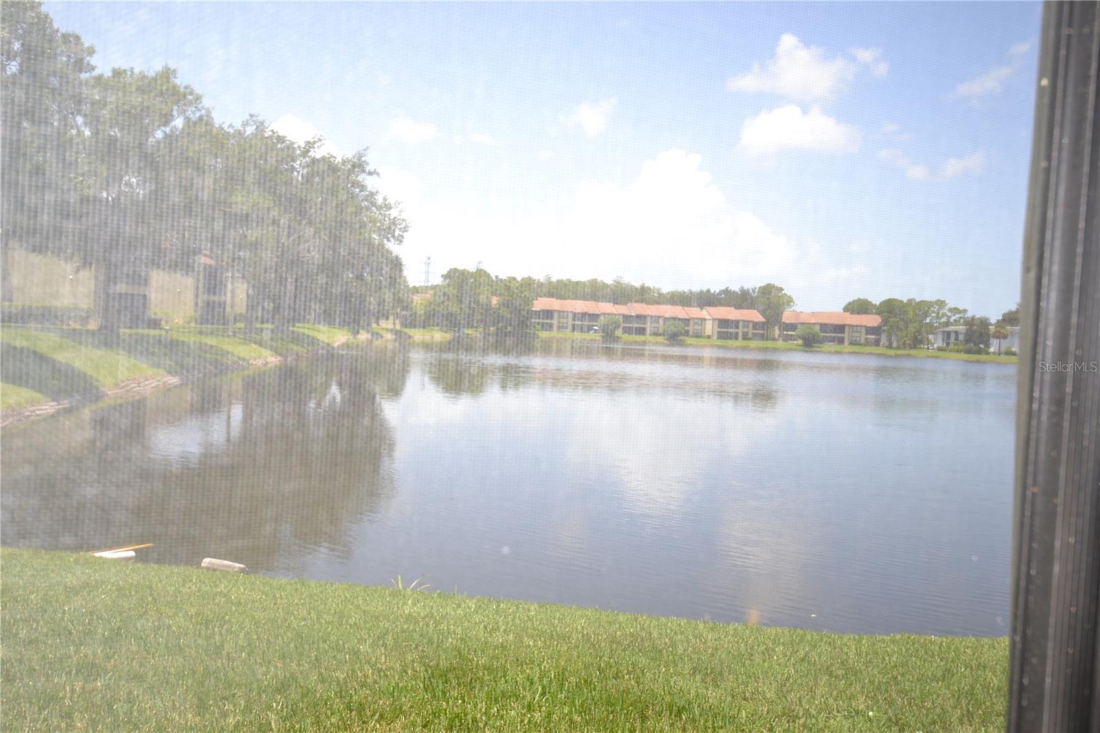 Image 46 of 71 For 209 Woodlake Wynde