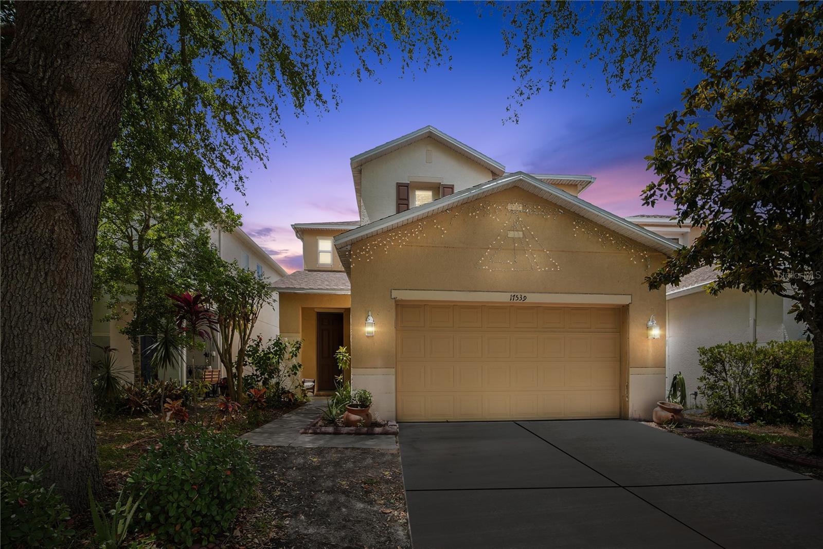 Details for 17539 Balmaha Drive, LAND O LAKES, FL 34638