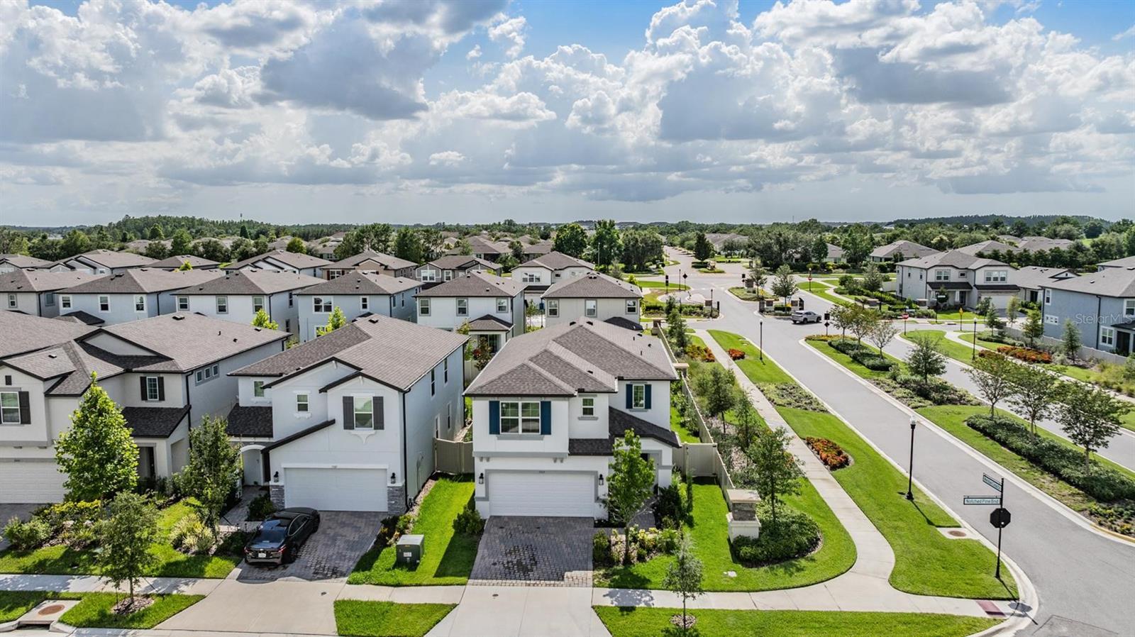 Image 4 of 48 For 7517 Notched Pine Bend
