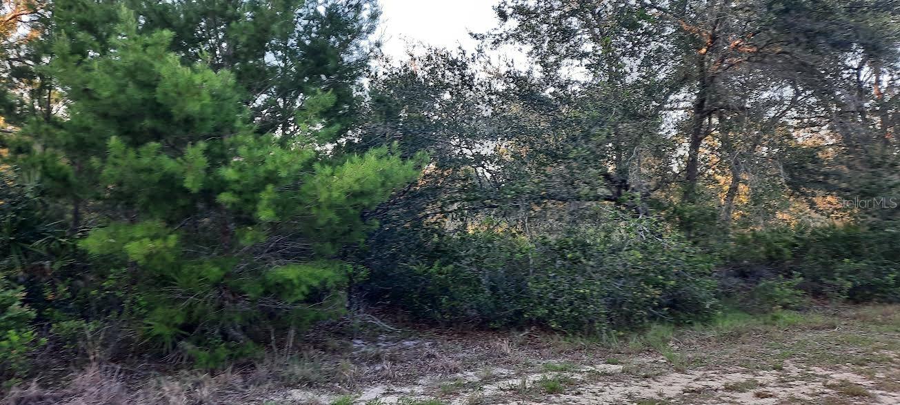 Details for 910 Granada Drive, INDIAN LAKE ESTATES, FL 33855