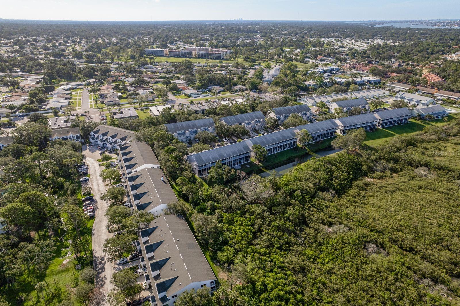 Image 47 of 53 For 9660 Tara Cay Court 38