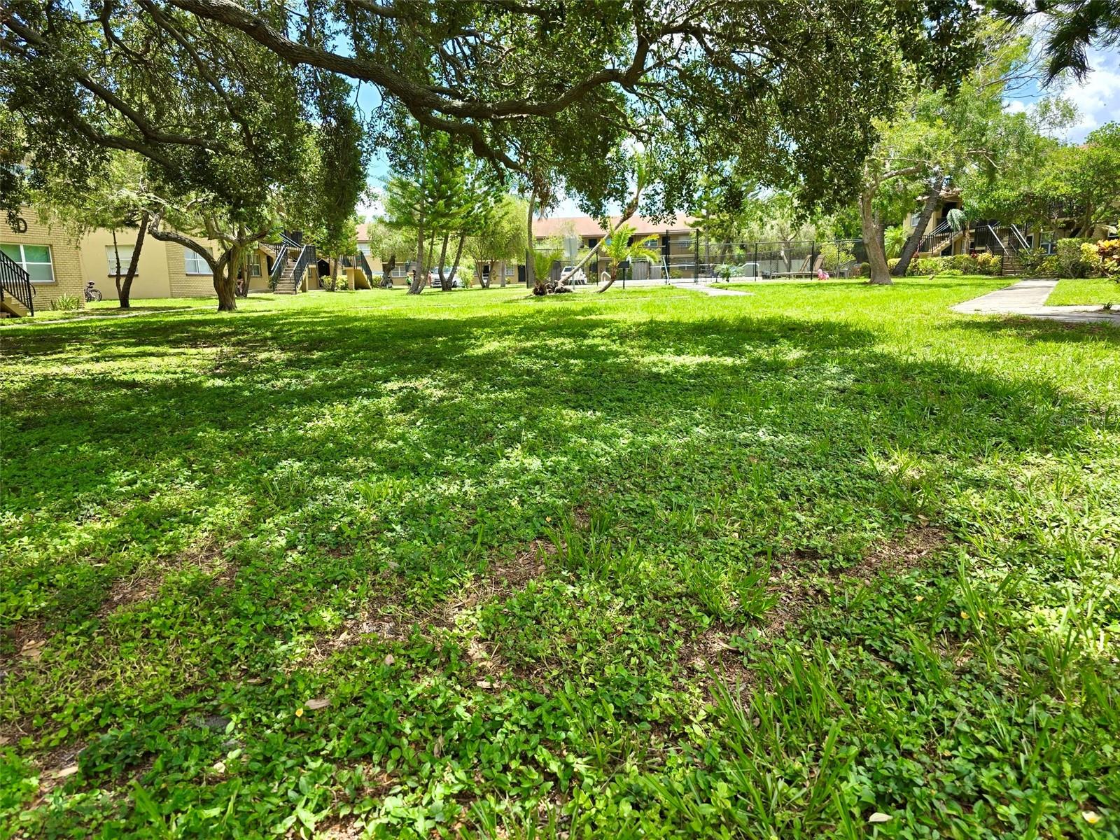 Image 14 of 18 For 2500 Harn Boulevard C5