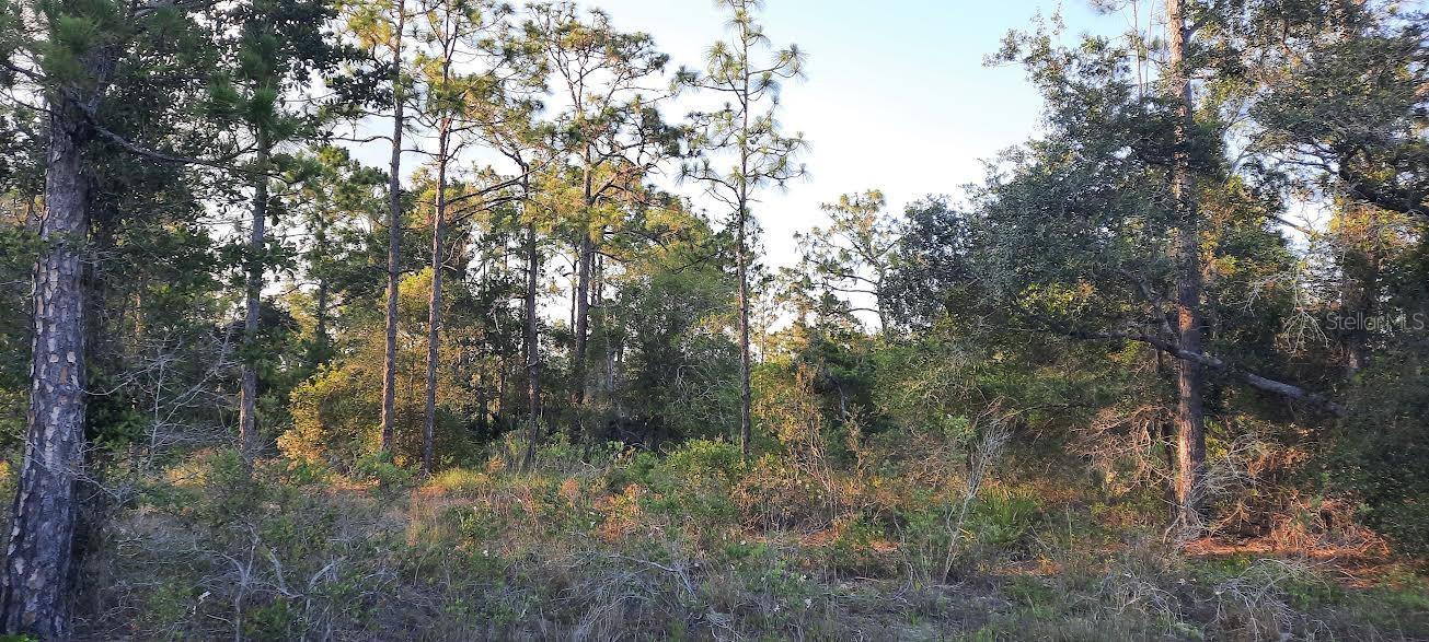 Details for 704 Plumosa Drive, INDIAN LAKE ESTATES, FL 33855