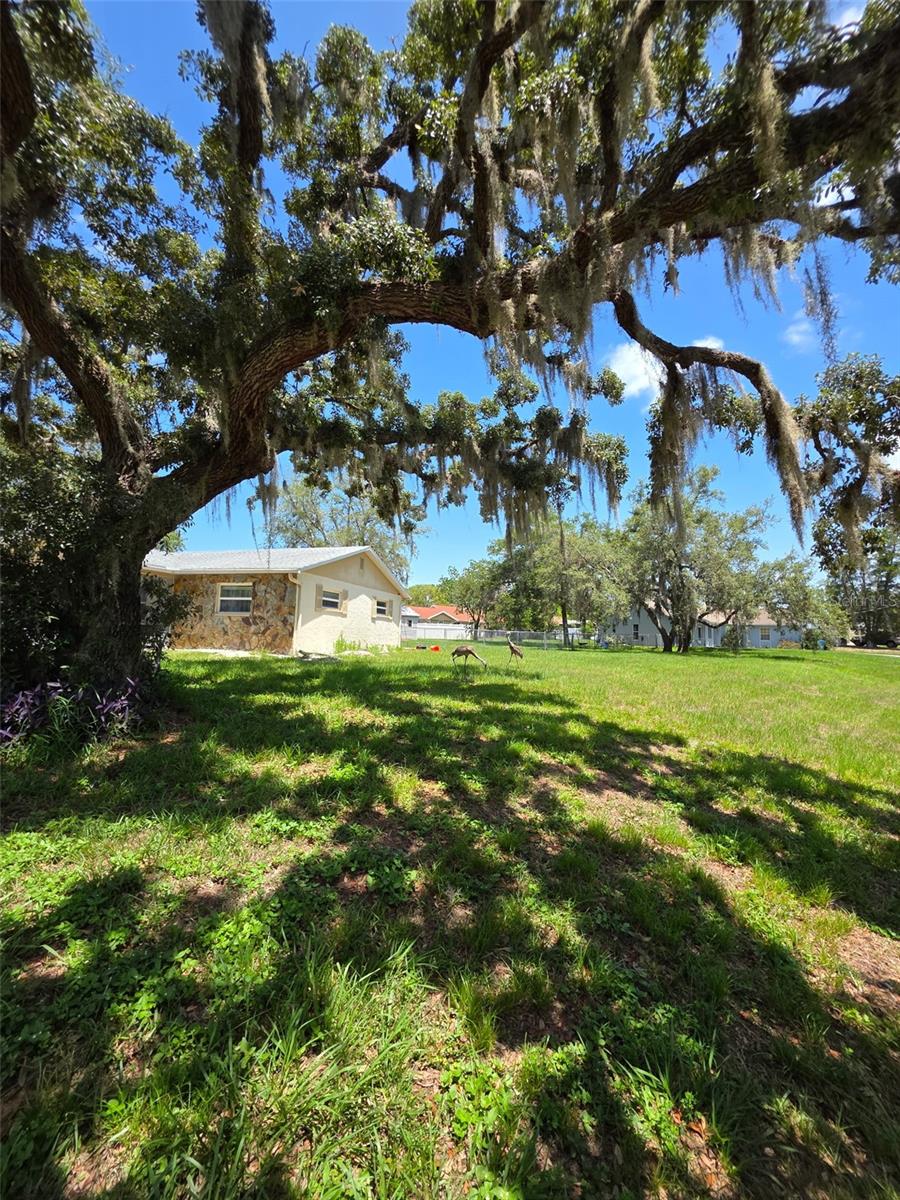 Listing photo id 20 for 9171 Vicksburg Road