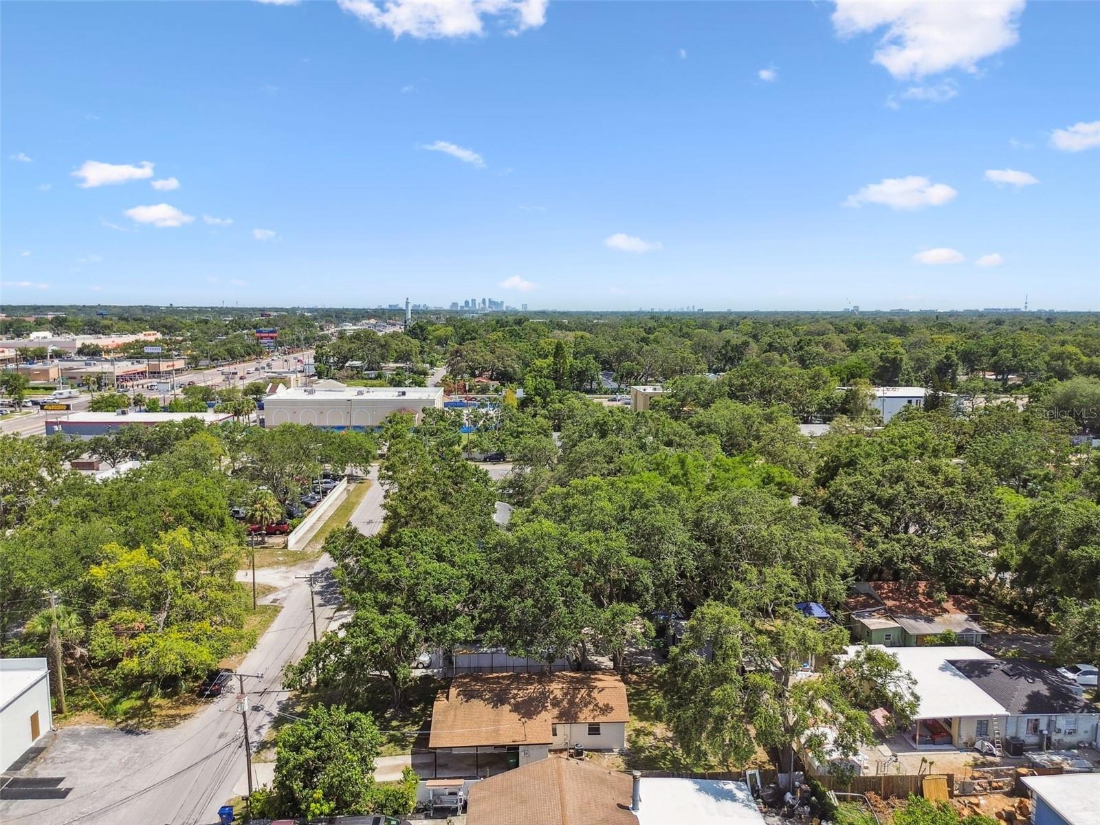 Image 50 of 51 For 9312 Tampa Street