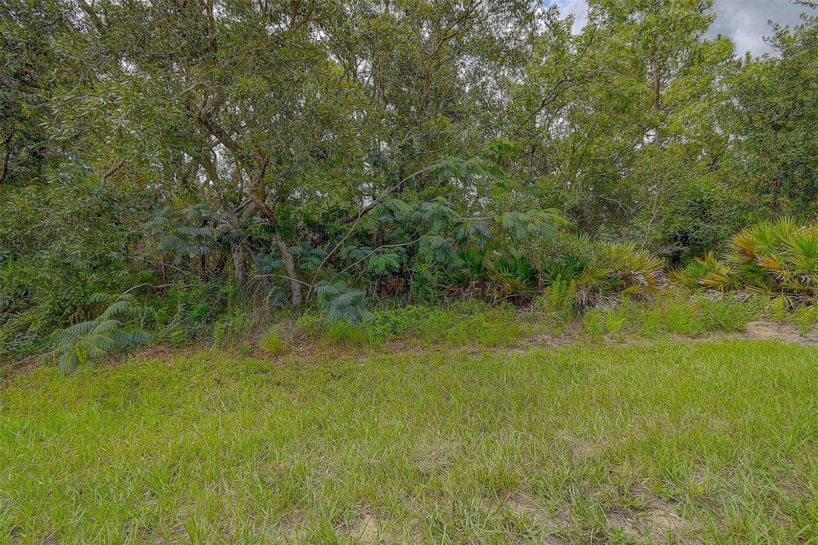 Listing photo id 11 for 6859 Merrivale Lane