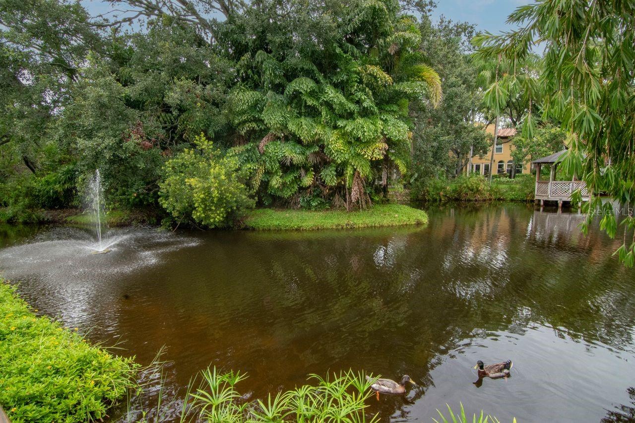 Image 35 of 44 For 2923 Gandy Boulevard 2923