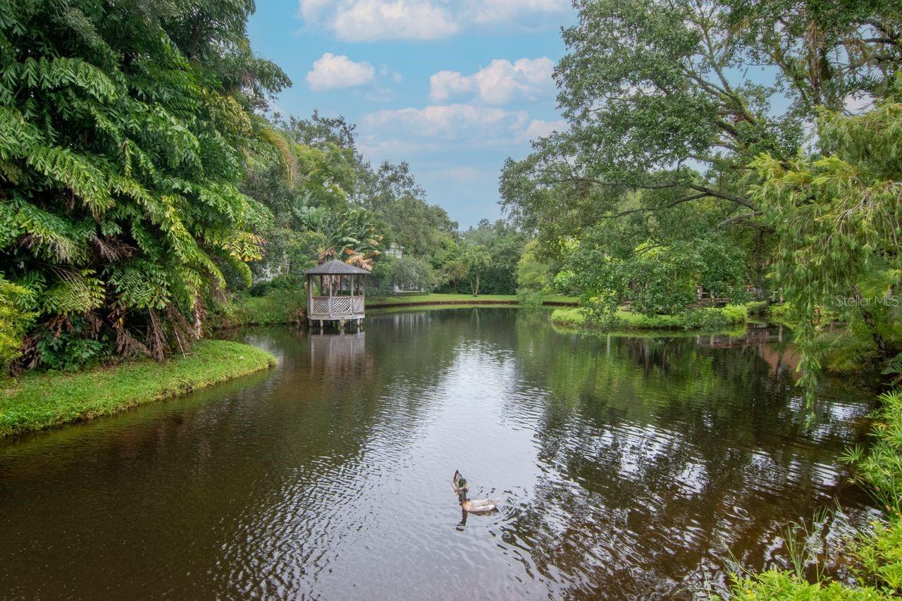 Image 36 of 44 For 2923 Gandy Boulevard 2923