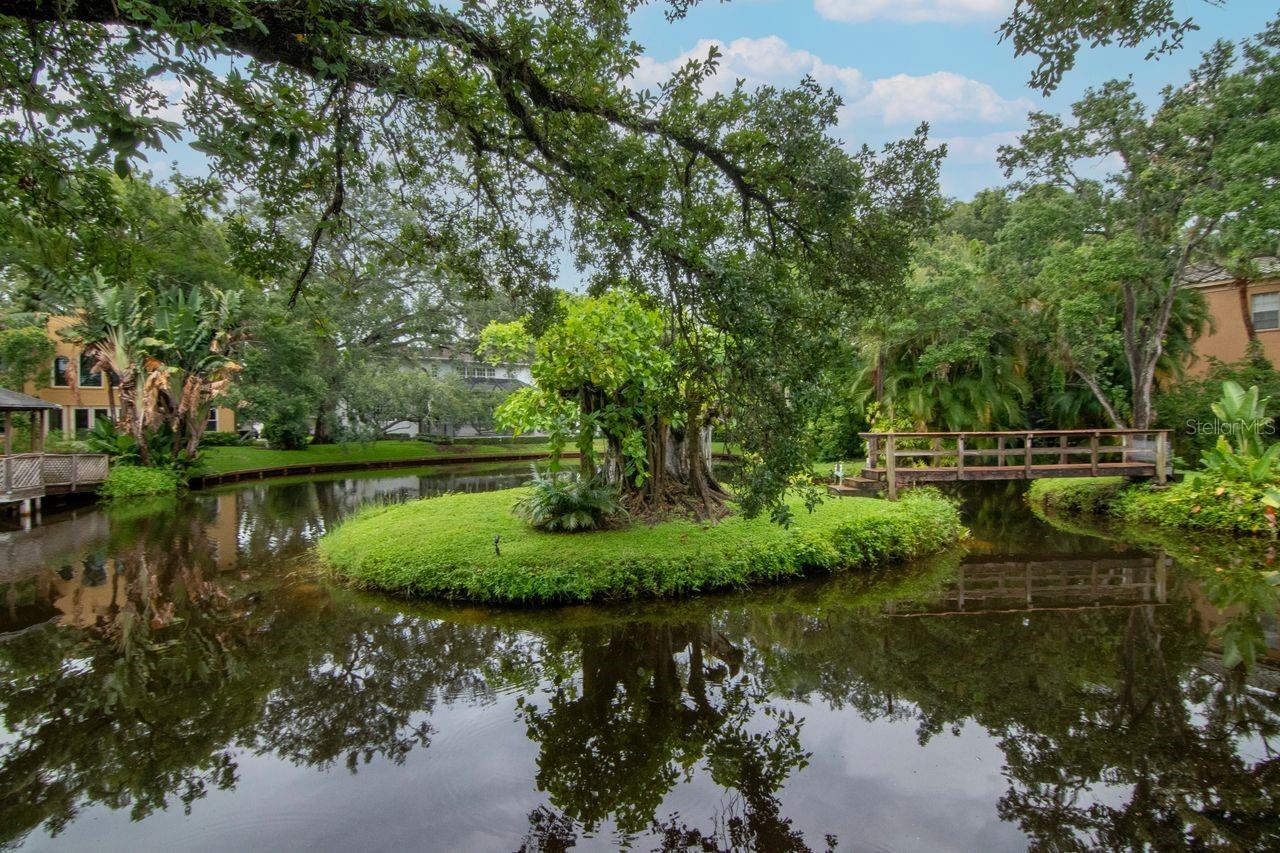 Image 40 of 44 For 2923 Gandy Boulevard 2923