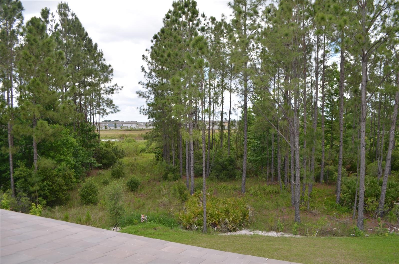 Listing photo id 17 for 35311 Big Hawk Drive