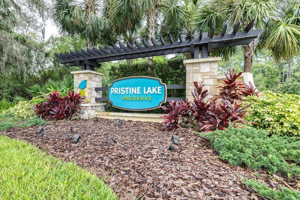 Image 56 of 65 For 21675 Amelia Rose Way