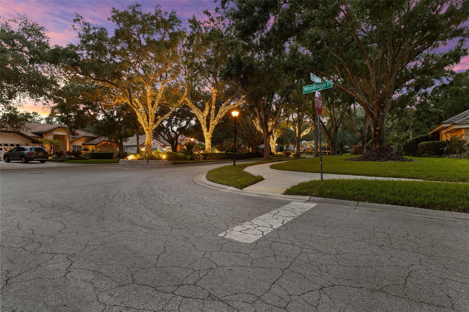 Image 97 of 99 For 3772 Woodridge Place
