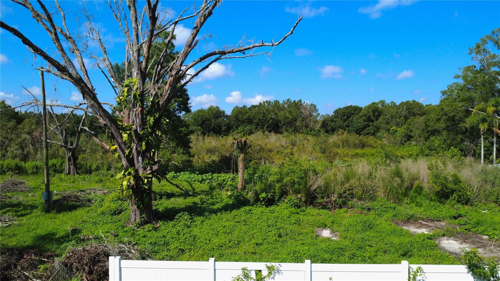Details for 1932 Andrews Loop, LUTZ, FL 33558