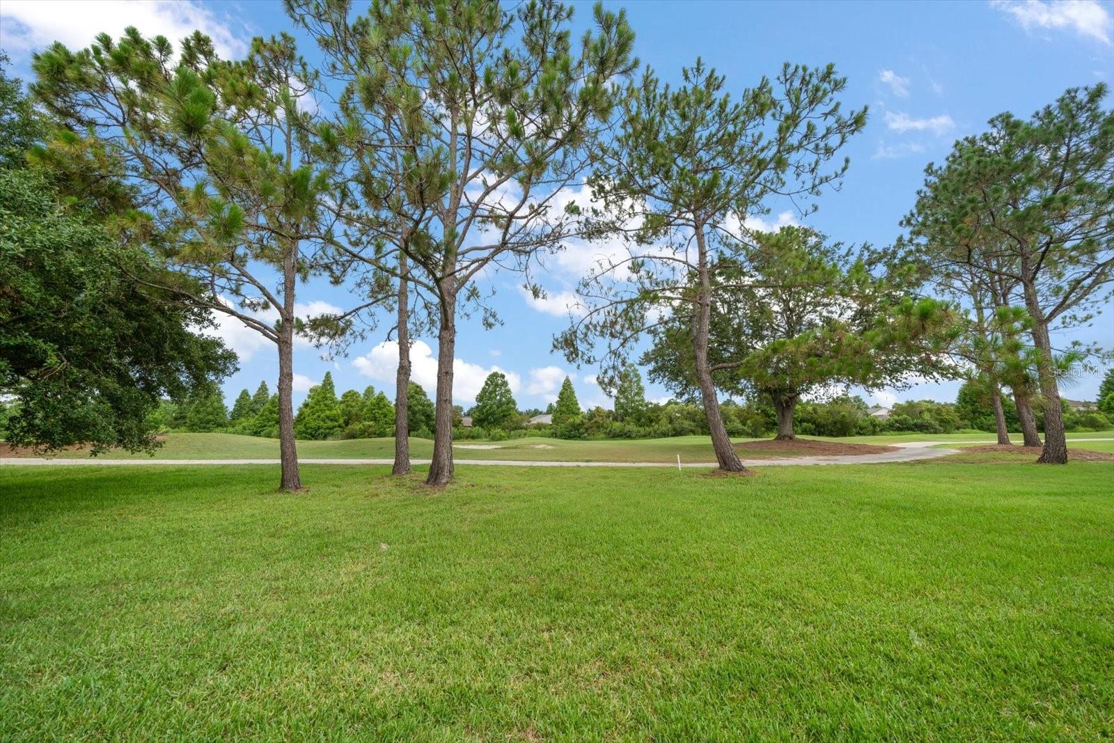 Image 3 of 40 For 3137 Banyan Hill Lane