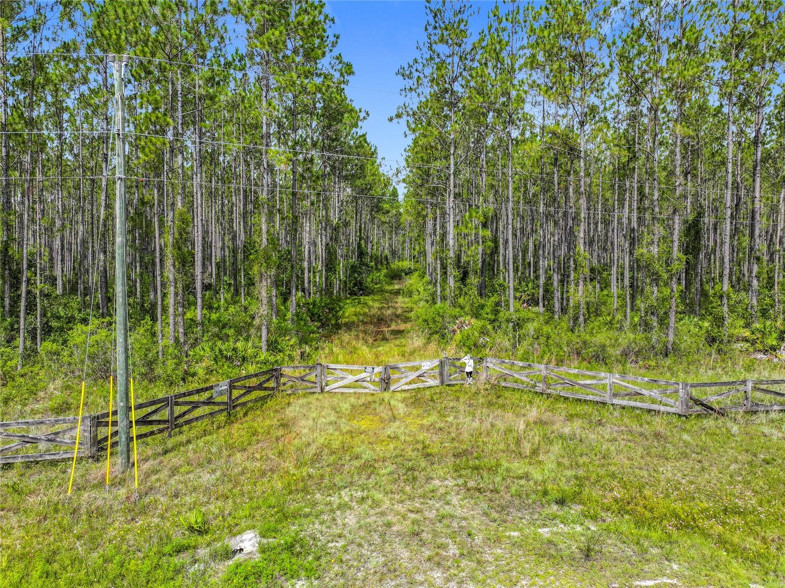 Details for Tbd Cr 336  , CHIEFLAND, FL 32626