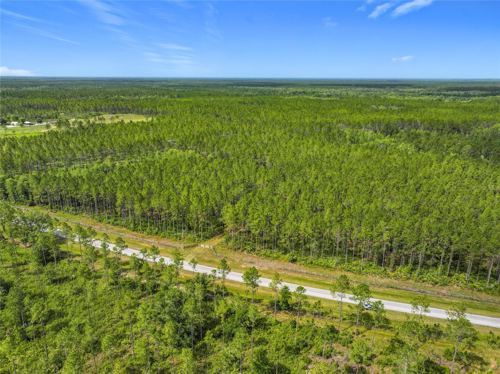 Image 10 of 19 For Tbd Cr 336  