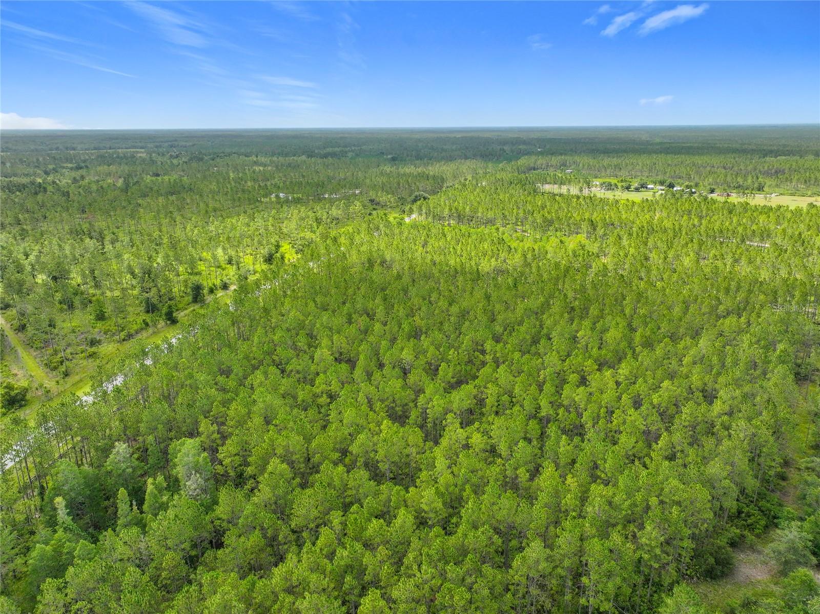 Image 11 of 19 For Tbd Cr 336  