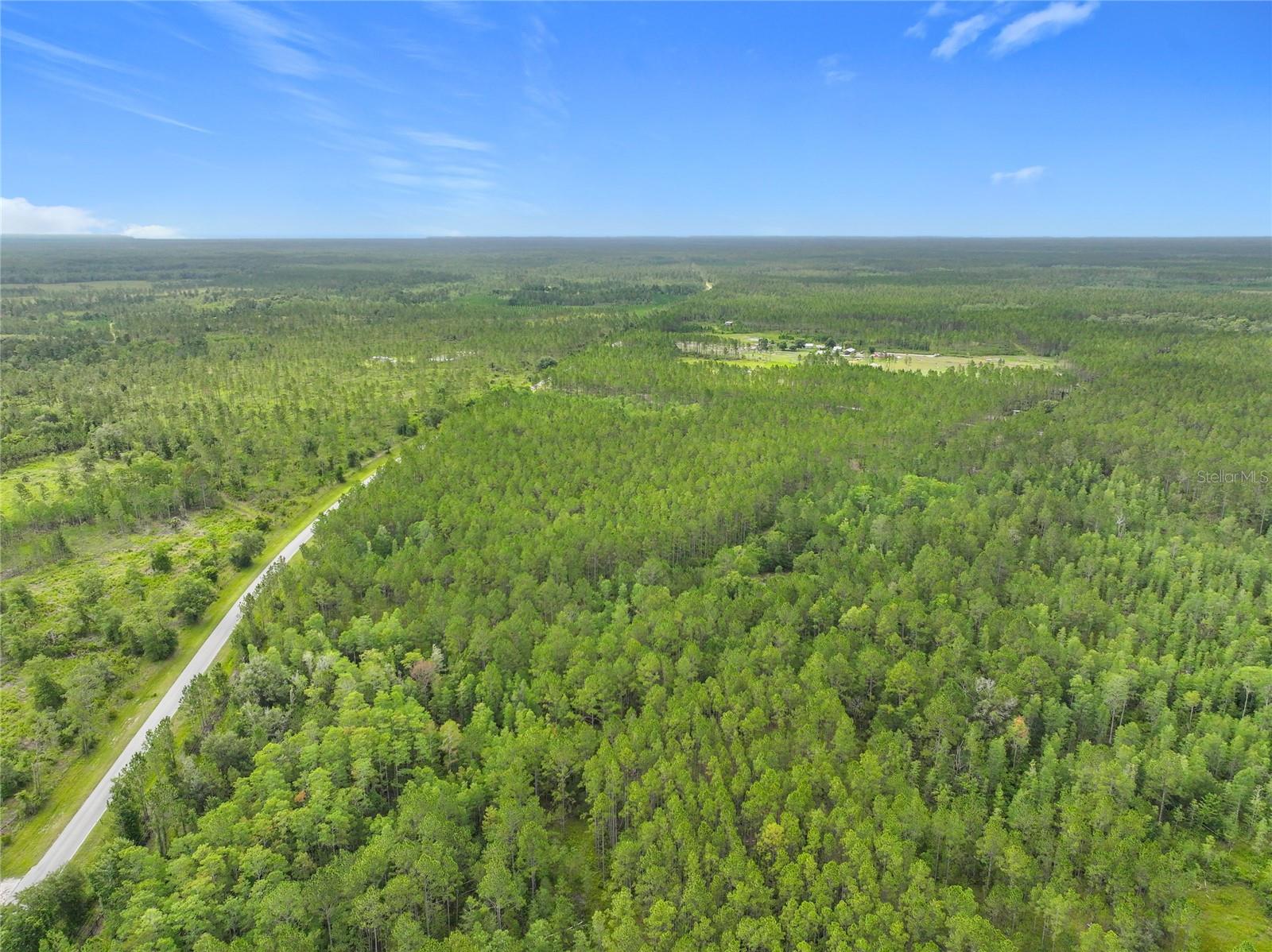 Image 12 of 19 For Tbd Cr 336  